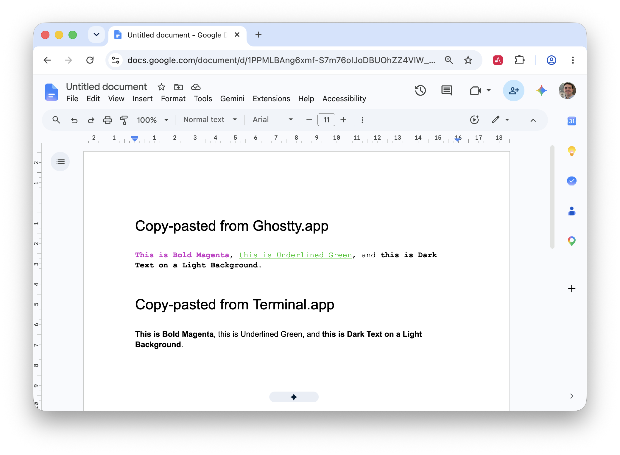 Screenshot from Google Docs